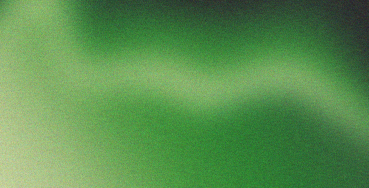 Service 02 texture